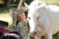 21-046-IFF_1081
