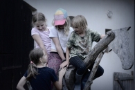 26-055-IFF_1131