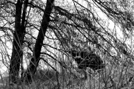 IMG_4344