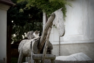 02-009-IFF_9582