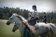 38-07-IFF_4569