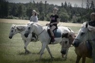 40-60-IFF_4572