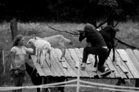 68-20-IFF_5073