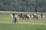 33-IFF_1790