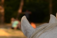 023-IFF_4338