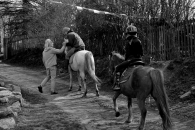 48-83-DSC_0140
