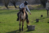 61-06-DSC_0190