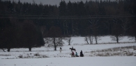 04-IFF_7327