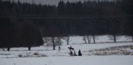 04-IFF_7327