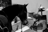 05-IFF_7390