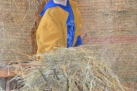 fotogalerie