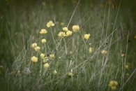10-IFF_3941