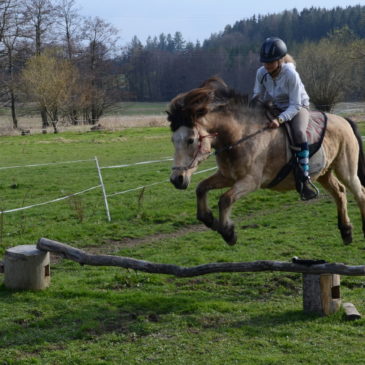 fotografie z víkendů v první polovně r. 2019